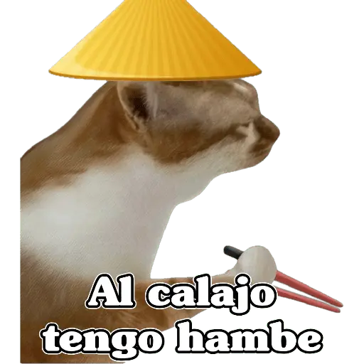 🧿Calajo🐈‍⬛😑