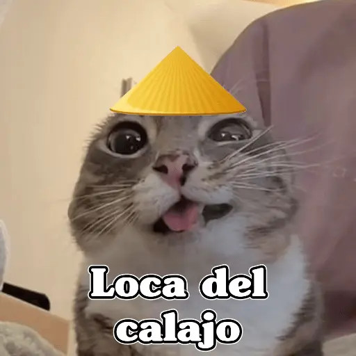 🧿Calajo🐈‍⬛😑