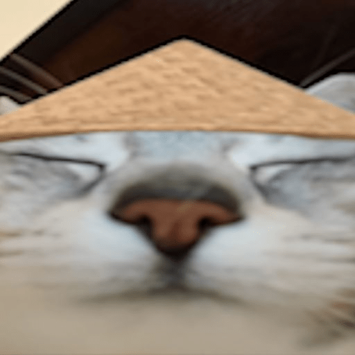 🧿Calajo🐈‍⬛😑 preview
