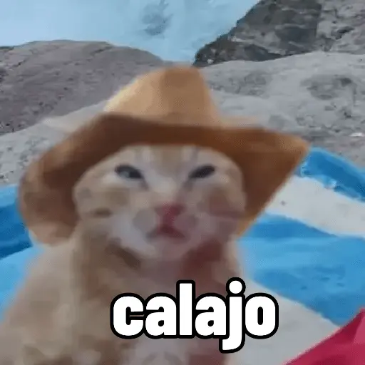 Calajo 😎