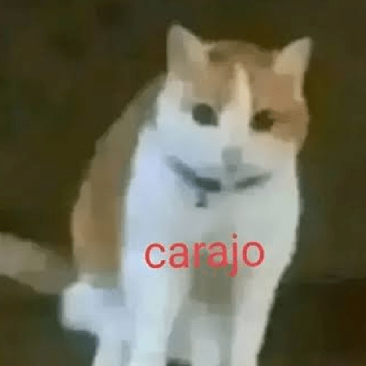 Calajo 😎 preview
