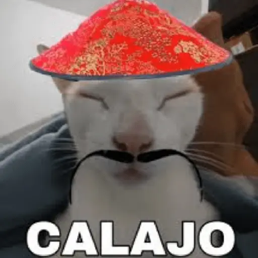 Calajo 😎