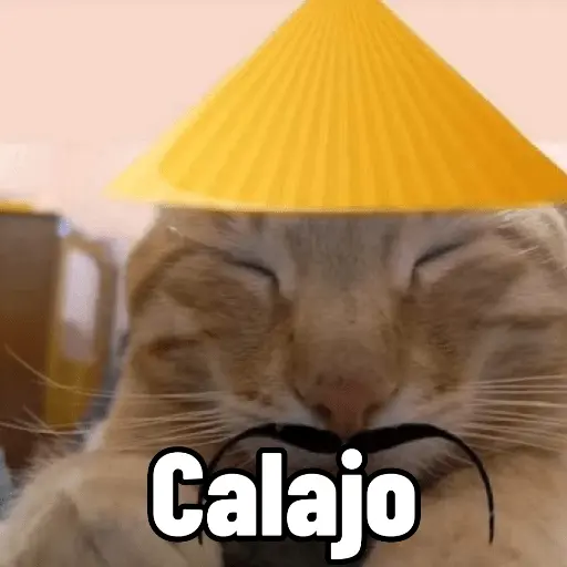 Calajo 😎