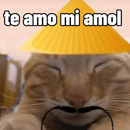 Calajo 😎