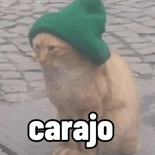 Calajo 😎
