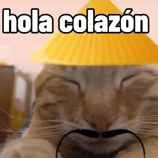 Calajo 😎