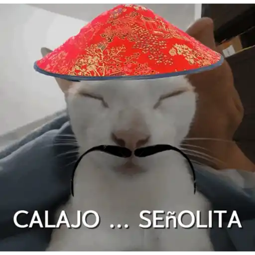 Calajo ✨ preview