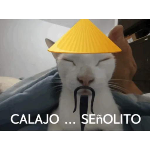 Calajo ✨ preview
