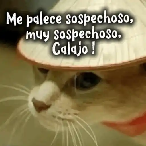 Calajo ✨