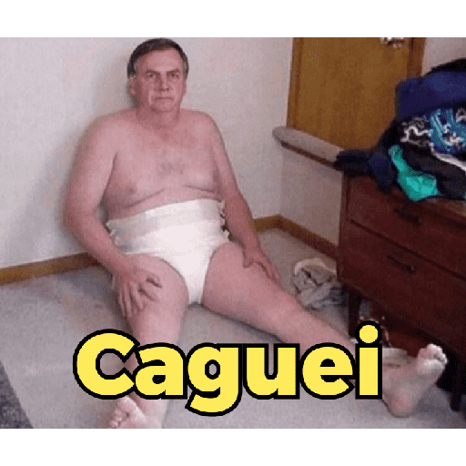 Bolsonaro Preso 2026 preview