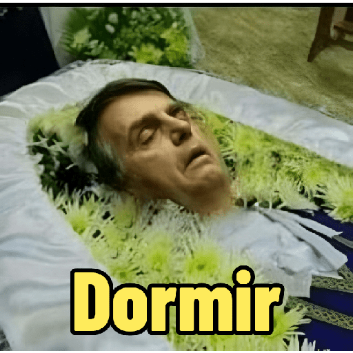 Bolsonaro Preso 2026 preview