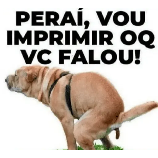 Bolsonaro Preso 2026