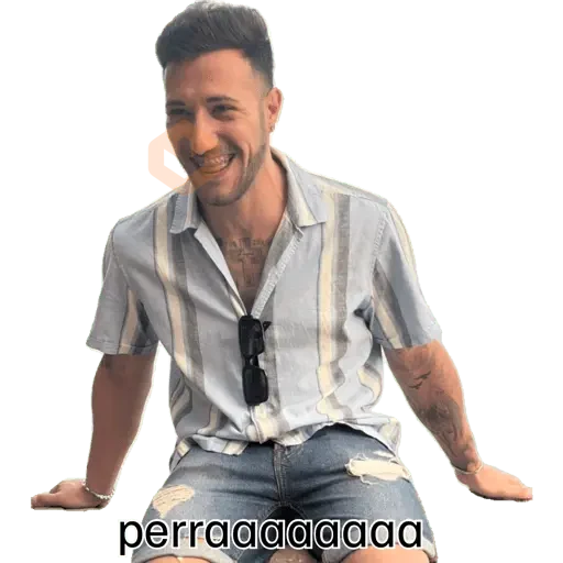 Mis pegatinas sticker 29