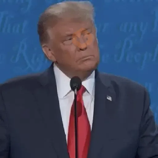Donald Trump 💪 sticker 13