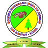 tray-icon