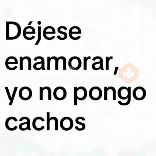 Frases Brat Amor 2❤️ sticker 26