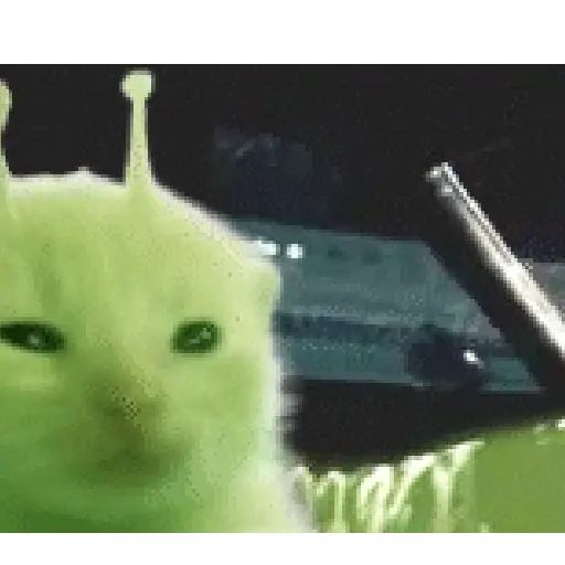 Gato alien 😎