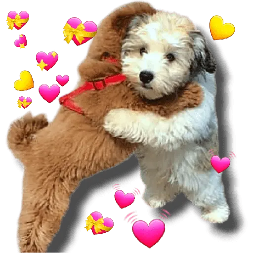 Abrazo 🫂