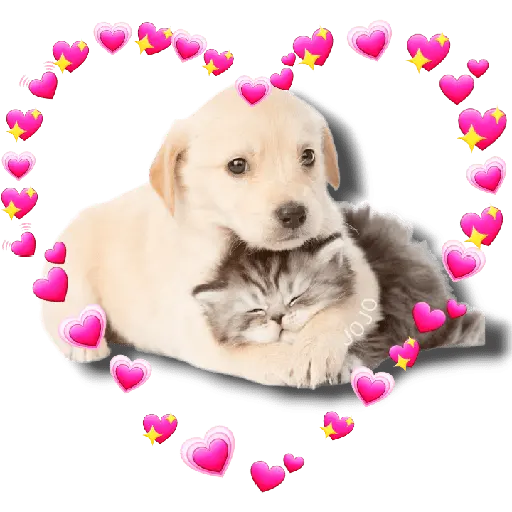 Abrazo 🫂