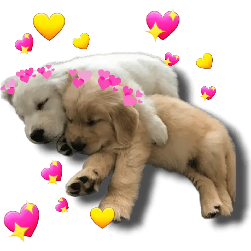 Abrazo 🫂
