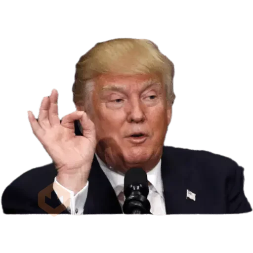 Donal trump sticker 27