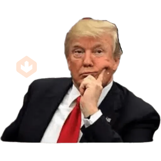 Donal trump sticker 11