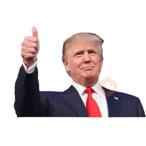 Donal trump sticker 21