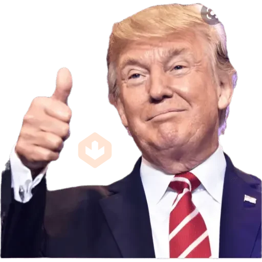 Donal trump sticker 20