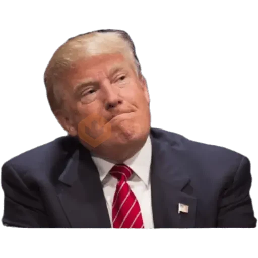 Donal trump sticker 14