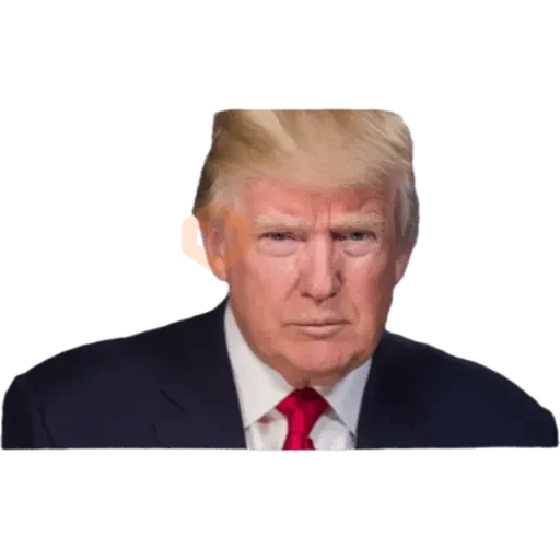 Donal trump sticker 22