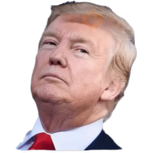 Donal trump sticker 19