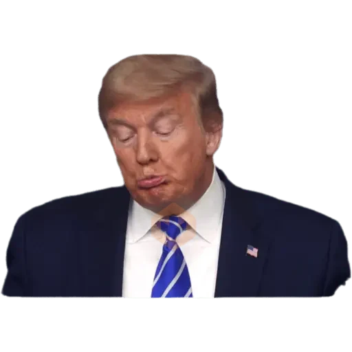 Donal trump sticker 16