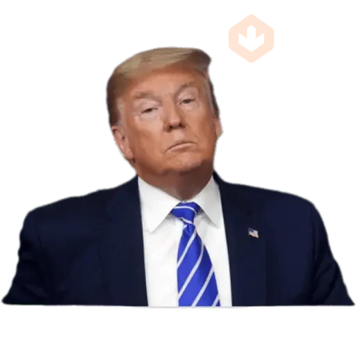 Donal trump sticker 18