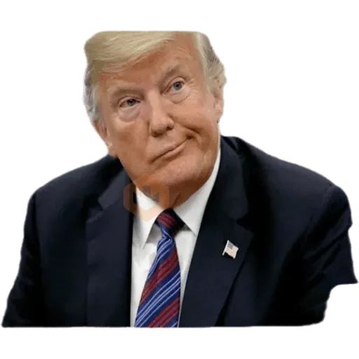 Donal trump sticker 30