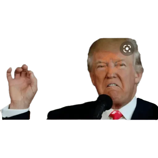 Donal trump sticker 12