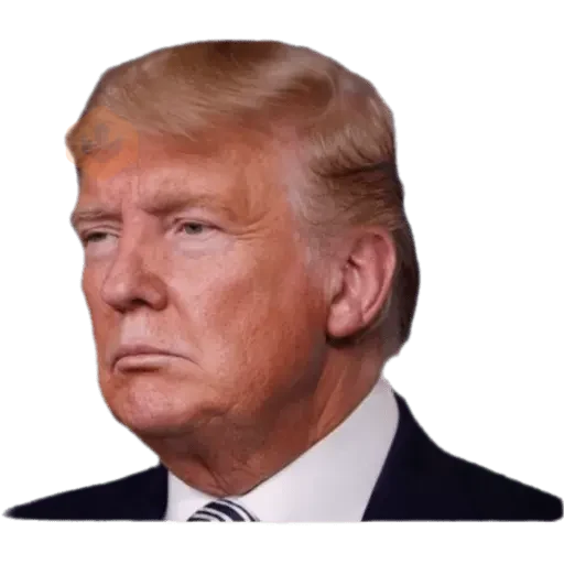 Donal trump sticker 24