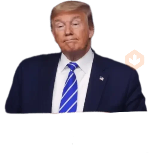 Donal trump sticker 17
