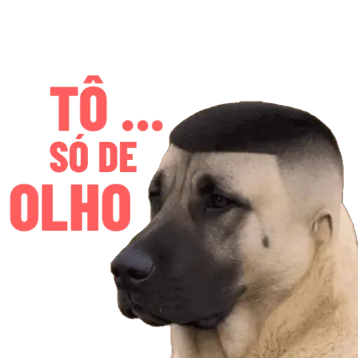 Bora tomar uma 
