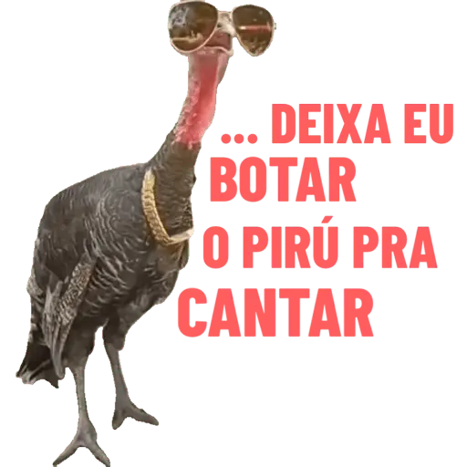 Bora tomar uma 
