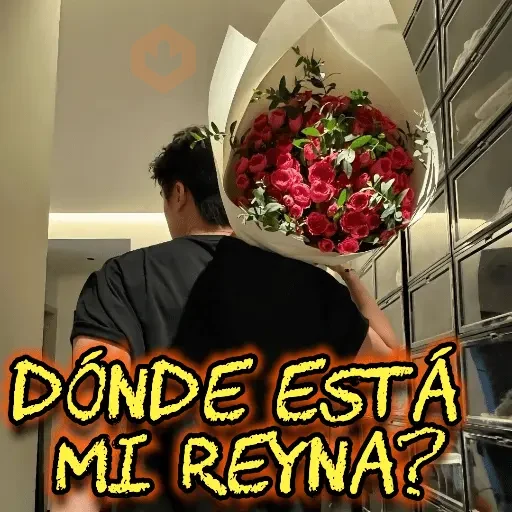 amor ❤️ frases sticker 24