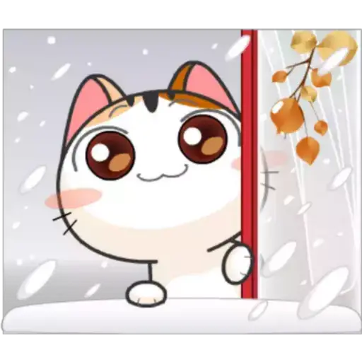 Gatito y Clima ♡ 