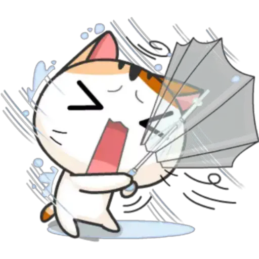 Gatito y Clima ♡ 