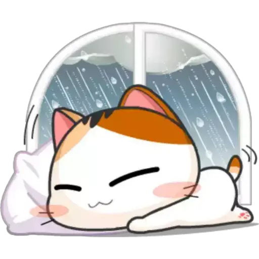 Gatito y Clima ♡ 