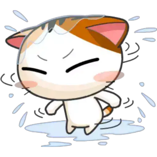 Gatito y Clima ♡ 