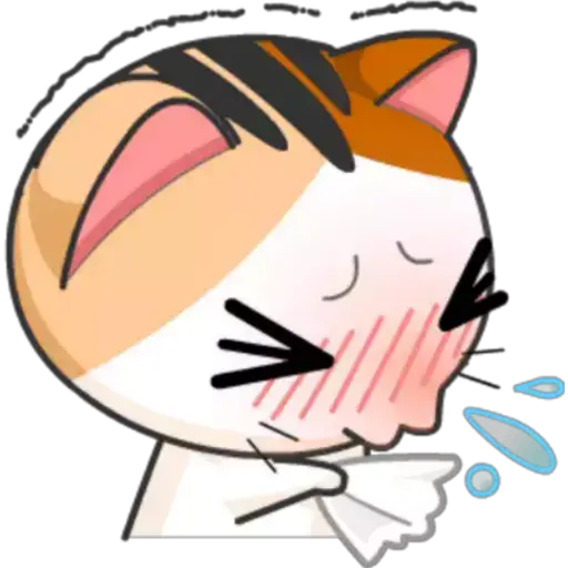 Gatito y Clima ♡ 