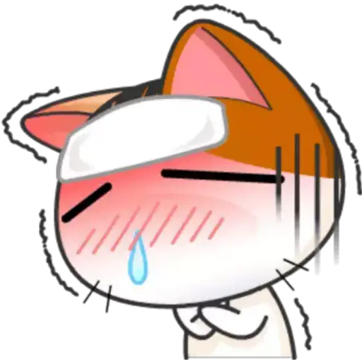 Gatito y Clima ♡ 