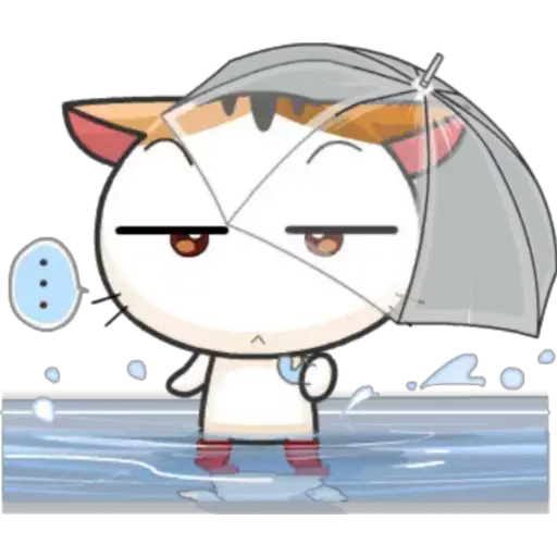Gatito y Clima ♡ 