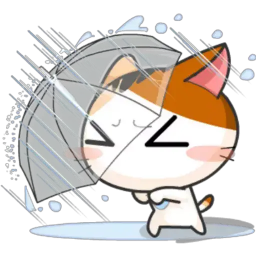 Gatito y Clima ♡ 