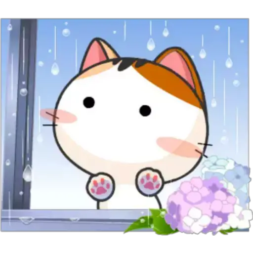 Gatito y Clima ♡ 