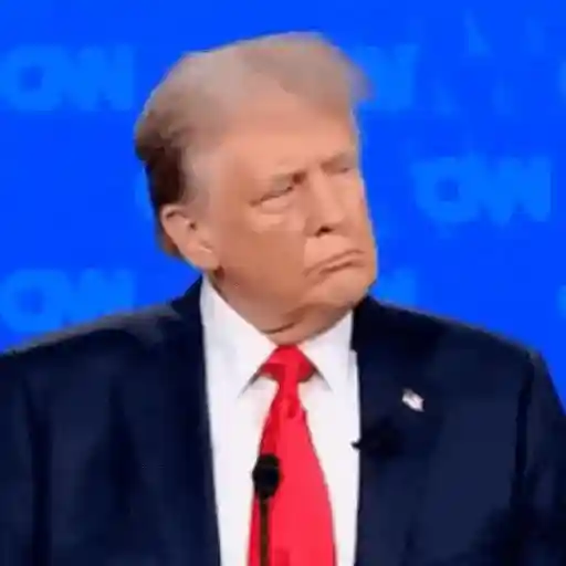 Donald Trump preview